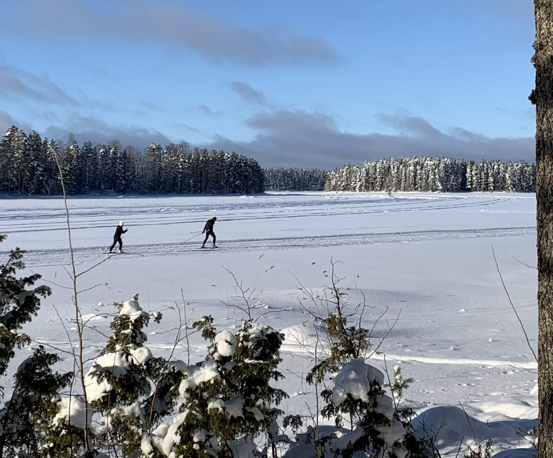 Frontpage - Visit Ähtäri