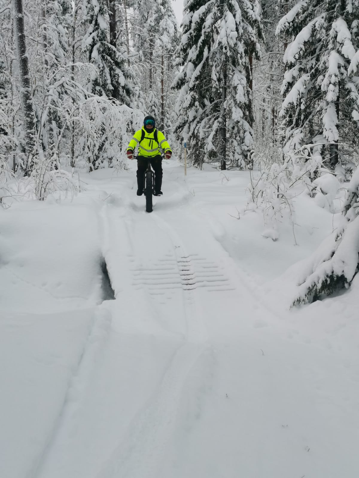 Pyöräilijä ajaa lumisessa maastossa.